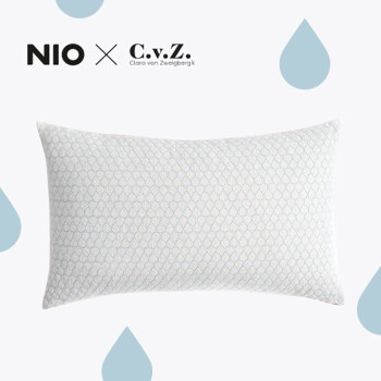 NIO X Clara设计师联名款晴天雨刺绣靠枕 蓝/白/橙