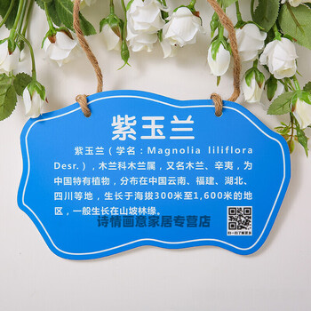 牌插地牌子植物绿化信息牌铭牌树木介绍标识牌吊牌爱护植树花草果树