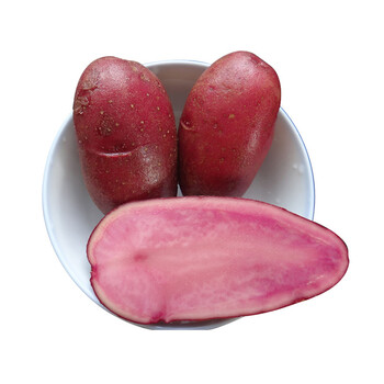 【5斤装】小毛驴 甘肃山丹土豆 红皮红心