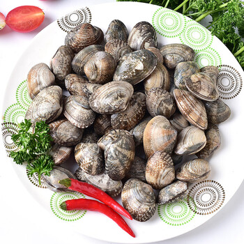 味库wecook 江苏连云港鲜活花蛤 500g 1份 盒装 海鲜水产 1000g/一盒