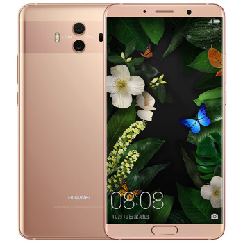 Ϊ HUAWEI Mate 10 6GB+128GB ӣ۽ ƶͨ4Gֻ ˫˫