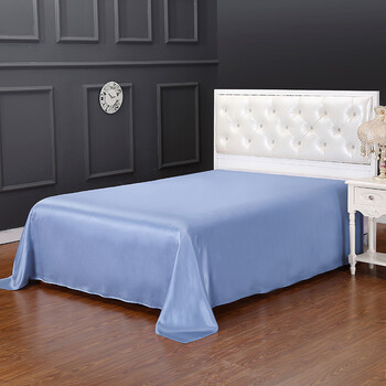 床单单件 床品家纺简约纯色 100%桑蚕丝 丝绸被单19姆米 冬季 浅蓝色
