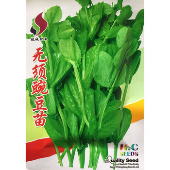 民汇园无须豌豆苗种子盆栽阳台大田蔬菜种子龙须菜豌豆尖芽苗菜克 袋 图片价格品牌报价 京东 民汇园无须豌豆苗种子盆栽阳台大田蔬菜种子龙须菜豌豆尖芽苗菜克 袋 图片价格品牌报价 京东