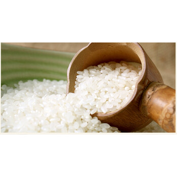 大米 稻米农场香米25kg南梗大米