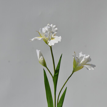 高档仿真假花爱丽丝鸢尾客厅卧室装饰花艺影楼新娘婚纱摄影花卉 白色