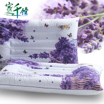 
                                        玖久 薰衣草枕芯枕头 花草枕 记忆棉枕芯 一对 48*74cm                