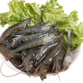 轻恋 海捕青岛大虾 新鲜青虾 鲜活虾 海鲜水产虾 对虾青虾大海虾 1kg