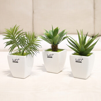 Wo 仿真多肉植物盆景清新小盆栽家居家装饰品摆设3个小斗缸 多肉 芦荟 龙舌兰 迎客松 图片价格品牌报价 京东