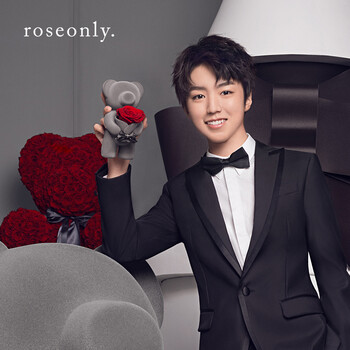 roseonly王俊凯同款玫瑰熊永生玫瑰礼盒灰色小熊站立版红玫瑰礼盒圣诞