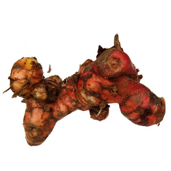 广东潮汕新鲜南姜 芦苇姜山姜 冬阴功汤用料 5斤