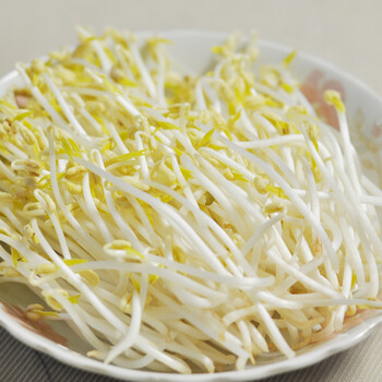 彩虹云宝 无激素 农场自产有机绿豆芽 北京彩虹雨有机农场 多省满百