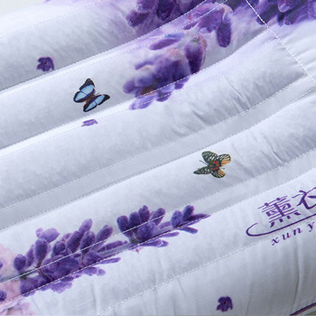
                                        玖久 薰衣草枕芯枕头 花草枕 记忆棉枕芯 一对 48*74cm                
