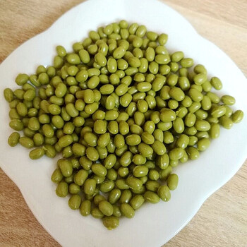 仿真假水果干果模型塑料花生大红枣冬枣核桃假水果模型摄影道具 绿豆