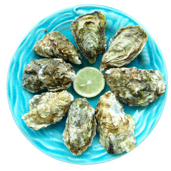 贝哥 冷冻全壳乳山生蚝(牡蛎) 960g 12粒原汁 袋装 海鲜水产