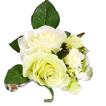 山茶花白色花朵一个【图片 价格 品牌 报价】-京东