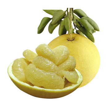 浙江玉环文旦柚当季楚门白心蜜柚新鲜柚子水果新鲜水果7斤大果2个装