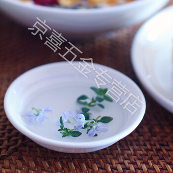 定制圆形迷你纯白骨瓷黄油碟味碟调料颜料碟 9.5cm内浮雕味碟