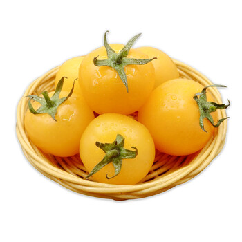 5kg串黄西红柿 新鲜蔬菜 串红柿番茄沙拉菜小番茄