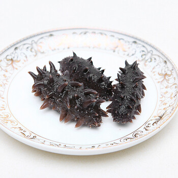 大连海参哪个牌子好_2018大连海参十大品牌_