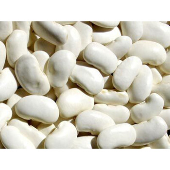 毛豆麻豌豆红豆绿心黑豆豇豆白芸豆红芸豆蚕豆种子 花芸豆种子半斤