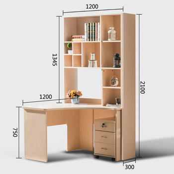 书柜书桌自由组合书架带门现代简约储物柜收纳柜子书橱 hs302电脑桌