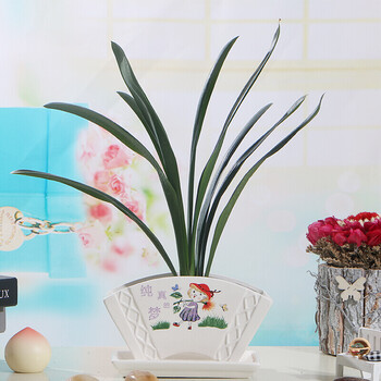 花盆扇形陶瓷花盆 桌面盆栽花卉君子兰专用花盆 带托盘 纯真的梦 大