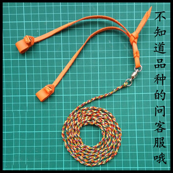 鹰具脚绊子鹰脚套 脚绊绳两开扣喜鹊乌鸦鹦鹉脚链环鹰帽子 灰背隼