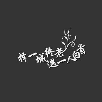 浮生 汽车个性励志文字致青春车贴纸且行且珍惜改装车身贴车门车尾