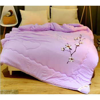 2017新款水洗棉被子芯,秋冬加厚保暖冬被子 棉花暖紫 150*200cm4斤