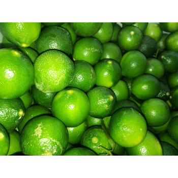 斤起包-邮越南进口 新鲜青柠檬 小青柠 饮品装饰 餐料g 斤