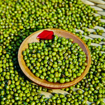 东北新绿豆农家绿豆绿豆汤发芽绿豆杂粮绿豆粥原料500g