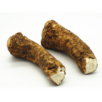 马萝卜辣根新鲜鲜辣根horseradishroot500克500g