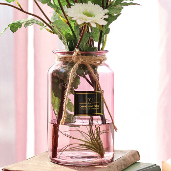 宏达 宏达 彩色玻璃花瓶带麻绳欧式ins插干花水培富贵竹绿萝百合花器 浅紫色大号
