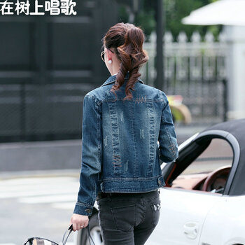 在树上唱歌优质2016春装新款女装牛仔外套女短款长袖时尚翻领韩版修身牛仔上衣短外套052 牛仔色 XXL建议120斤左右