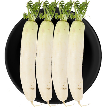 倍多鲜 辽宁丹东白萝卜 2.5kg装 新鲜蔬菜_ 7折现价27元