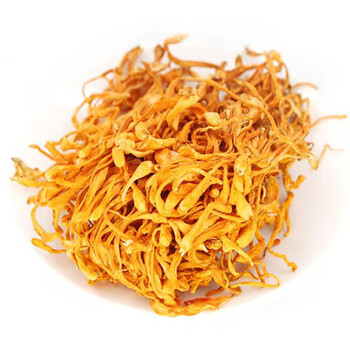 金虫草500g 新鲜蔬菜虫草花 蛹虫草 新鲜蔬菜菌菇