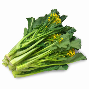 维桑 迟菜心 增城特产 小楼高脚菜心  广东菜心 5斤 新鲜蔬菜 现摘现