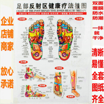 全套人體經絡圖足部反射區健康掛圖中醫按摩穴位針灸圖腳底足療圖 足