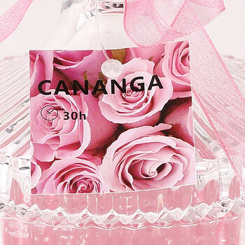 
                                        代字行 家居 CANANGA 卡纳格 薰衣草花香味烛台香薰蜡烛 玻璃烛台婚庆生日蜡烛 花香味                