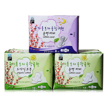【韩国进口】恩芝(Eun jee)卫生巾超薄绵柔日用夜用组合装 3包32片