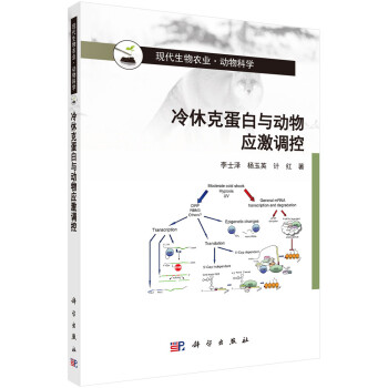 惊喜!顶级贡献玩家正在创造一个价格飙升的潜力股!