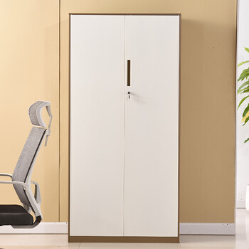 钢制薄边文件柜铁皮柜柜办公资料柜档案柜凭证柜带锁