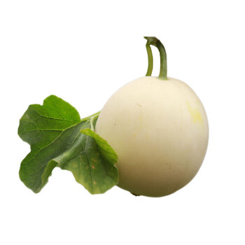 白蜜甜瓜水果新鲜白宝香瓜 2.5kg
