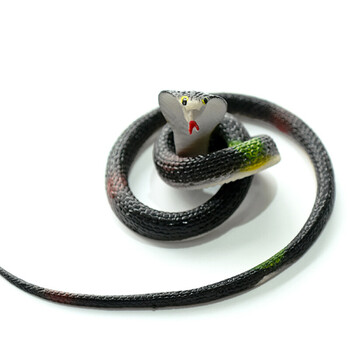 儿童仿真眼镜蛇小玩具恶搞整人道具男孩软胶假蛇动物模型sn3741 大号