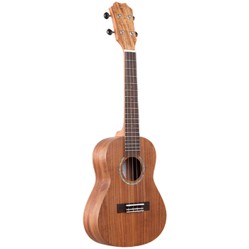 尤克里里什么品牌质量最好（尤克里里排名前十）