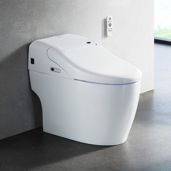 一体式智能坐便器低水箱设计智能马桶一体机z1d6021 d6025t储热式 305