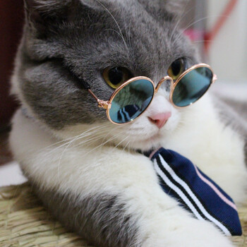 霸道总裁猫用小领带宠物饰品美短暹罗猫项圈围巾泰迪小狗领结脖圈