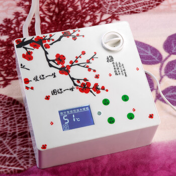 环鼎 单双人水暖毯 电热毯 水暖床垫电热水暖毯数显遥控智能恒温 NCM三人布1.6*1.8m