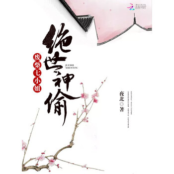 绝世神偷废柴七小姐