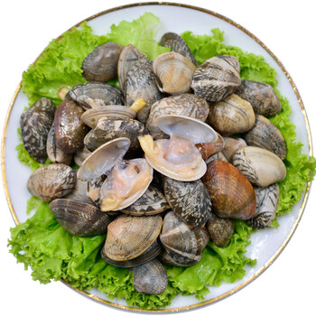 晨臻 顺丰 花甲 新鲜冷冻蛤蜊大花蛤蜊贝类海鲜 2kg